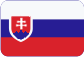 Volebný hlasovací systém Slovensky
